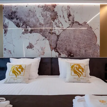 Aslan Gold فندق