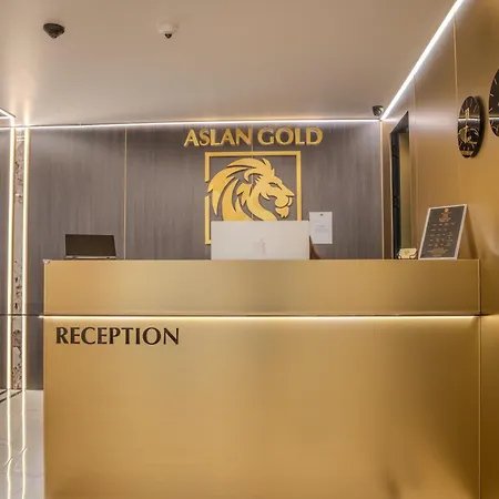 فندق Aslan Gold 3*